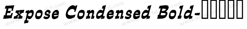 Expose Condensed Bold字体转换